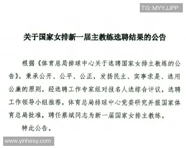 北京排球队精英赛表现分析团队配合与战术执行的关键因素